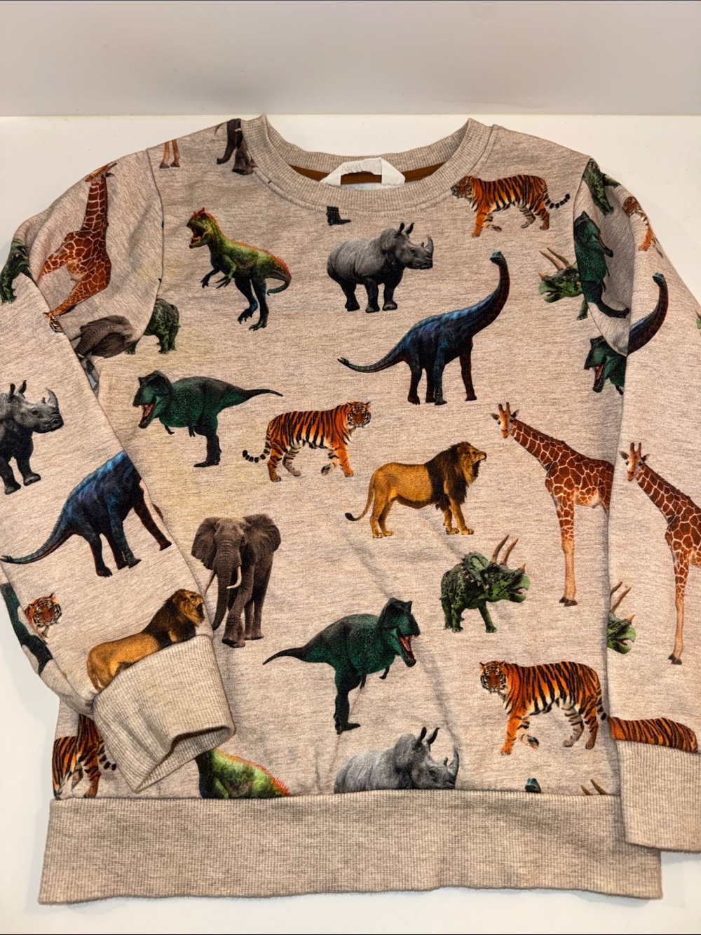 H&M Safari Animals Sweatshirt